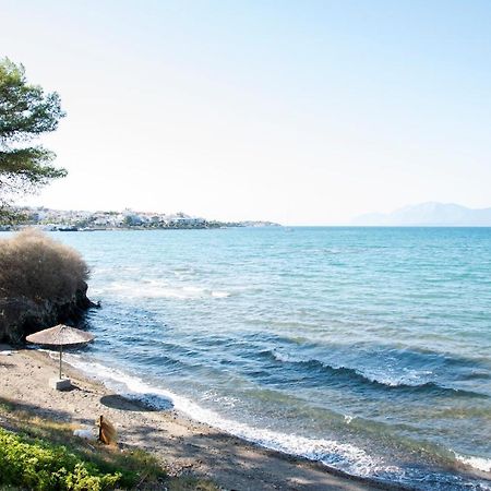 Luxury Premium Suite In Chalkís Dış mekan fotoğraf